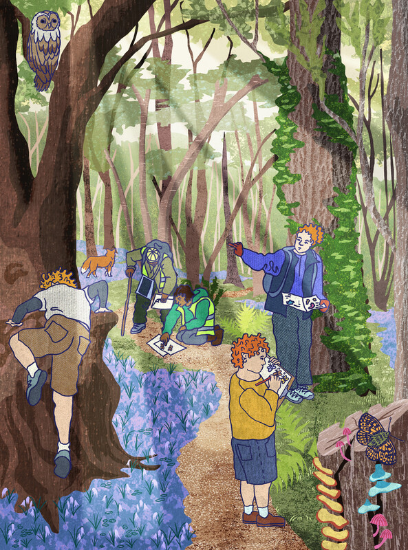 A National Park Partnership Management Plan